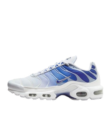 Nike Air Max Plus Blue Fade